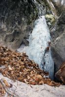 Klik za večjo sliko