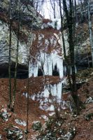 Klik za večjo sliko