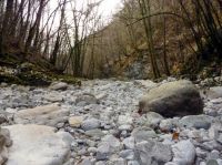 Klik za večjo sliko