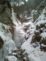 Klik za večjo sliko