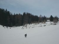 Klik za večjo sliko