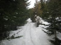 Klik za večjo sliko