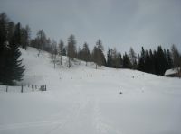 Klik za večjo sliko