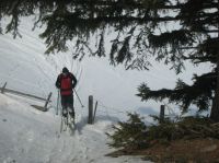 Klik za večjo sliko