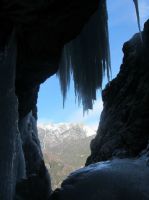 Klik za večjo sliko