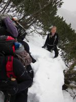 Klik za večjo sliko