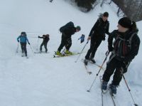 Klik za večjo sliko