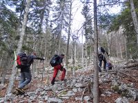 Klik za večjo sliko