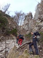 Klik za večjo sliko