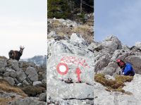 Klik za večjo sliko