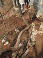 Klik za večjo sliko