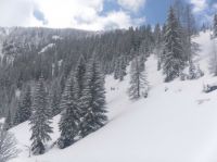 Klik za večjo sliko