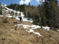 Klik za večjo sliko