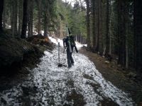 Klik za večjo sliko