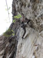 Klik za večjo sliko