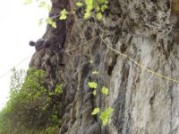 Klik za večjo sliko