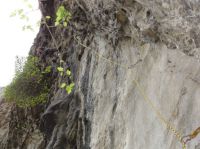 Klik za večjo sliko