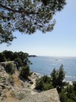 Klik za večjo sliko