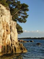 Klik za večjo sliko