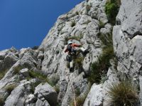 Klik za večjo sliko