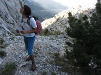 Klik za večjo sliko