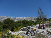 Klik za večjo sliko