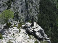 Klik za večjo sliko