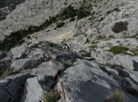 Klik za večjo sliko