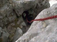 Klik za večjo sliko