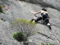 Klik za večjo sliko