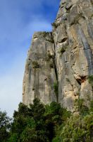 Klik za večjo sliko