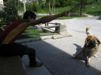 Klik za večjo sliko