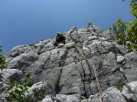 Klik za večjo sliko