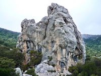 Klik za večjo sliko