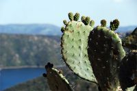 Klik za večjo sliko