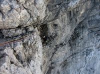 Klik za večjo sliko