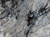 Klik za večjo sliko