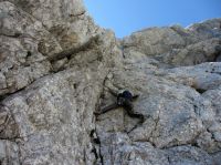 Klik za večjo sliko