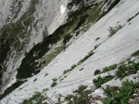 Klik za večjo sliko