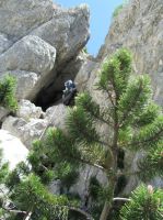 Klik za večjo sliko