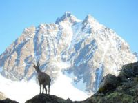 Klik za večjo sliko