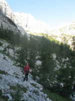 Klik za večjo sliko