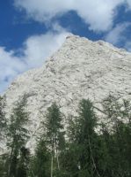 Klik za večjo sliko