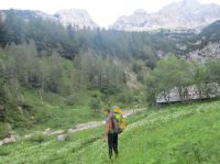 Klik za večjo sliko