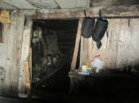 Klik za večjo sliko