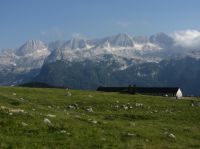 Klik za večjo sliko