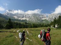 Klik za večjo sliko