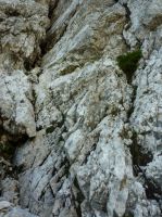 Klik za večjo sliko