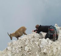 Klik za večjo sliko