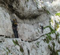 Klik za večjo sliko